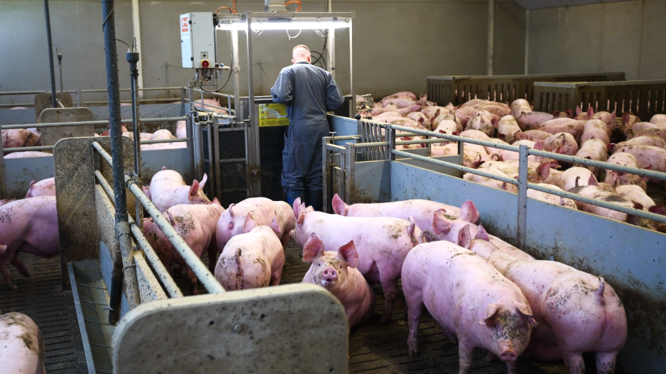 OptiSORT Feeding : services de formation et assistance technique après-vente par H+L